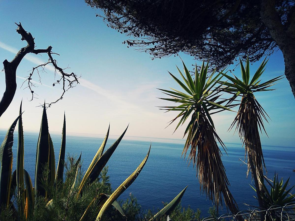 Le Paradis Bleu Calanque De Figuieres, Paddle Et Veranda Ensues-la-Redonne Dış mekan fotoğraf